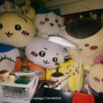 レス61番の画像1