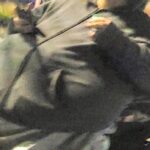 レス20番の画像1