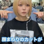 レス81番の画像1