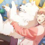 レス13番の画像3