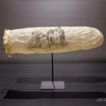 レス1番のサムネイル画像