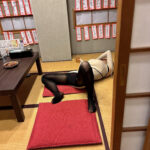 レス1番のサムネイル画像