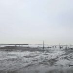 レス30番の画像1