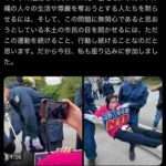 レス37番の画像1