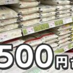 レス1番のリンク先のサムネイル画像