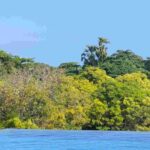 レス49番の画像2