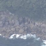 レス2番の画像2