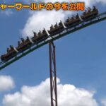 レス1番の画像3