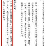 レス3番の画像4