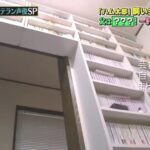 レス5番の画像8