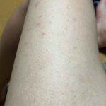 レス22番の画像1