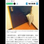 レス1番の画像3