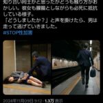 レス28番の画像1