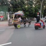 レス7番の画像1