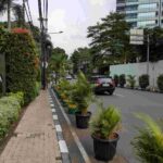 レス43番の画像1