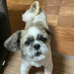 レス30番の画像1