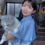 レス137番の画像1