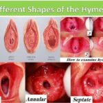 レス21番の画像2