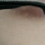 レス36番の画像1