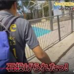 レス1番の画像5