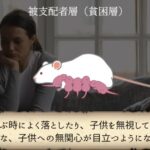 レス5番の画像2