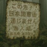 レス6番の画像1