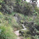 レス27番の画像2