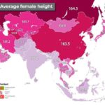 レス11番の画像1