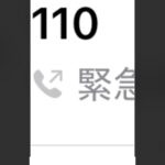 レス28番の画像1