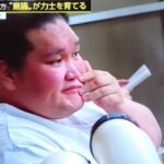 レス29番の画像2