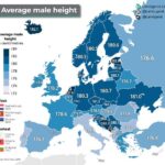 レス19番の画像1