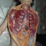 レス20番の画像1