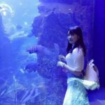 レス21番の画像1