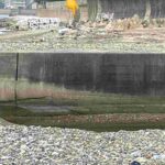 レス7番の画像1