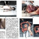 レス19番の画像1