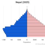 レス81番の画像1