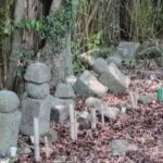 レス1番のリンク先のサムネイル画像