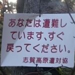 レス11番の画像1