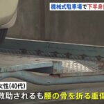 レス1番の画像2