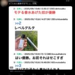 レス37番の画像1