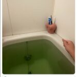 レス1番の画像2