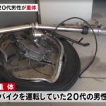 レス23番の画像1