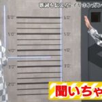 レス23番の画像1