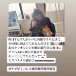 レス1番の画像2