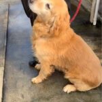 レス1番の画像3