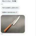 レス8番の画像1