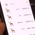 レス1番の画像4