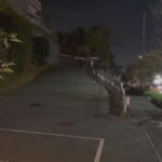 レス23番の画像2