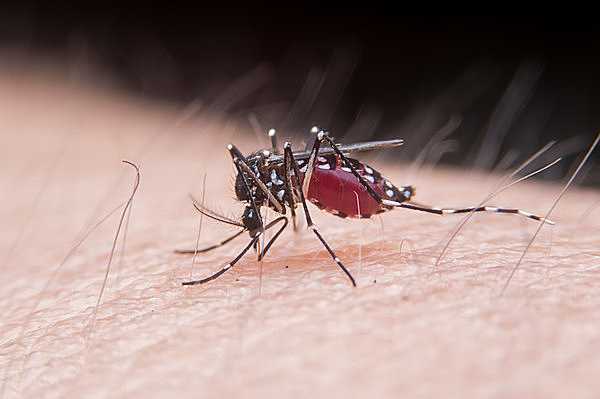 記事サムネイル