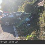 レス12番の画像1